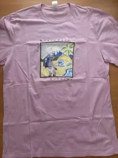美品　XL Supreme/The North Face Sketch S/S