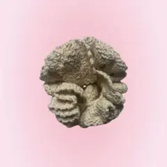 編み物 シュシュ クリーム色