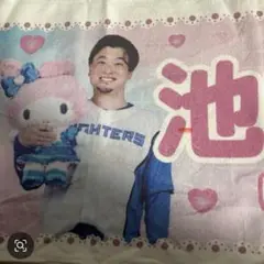 池田隆英 マイメロディタオル