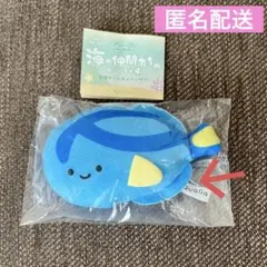 ナンヨウハギ にっこりーノ 海の仲間たちのぬいぐるみ 未使用品