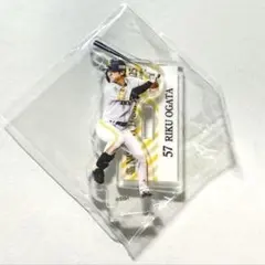 ソフトバンクホークス 2025 日本一記念アクスタくじ #57 緒方理貢