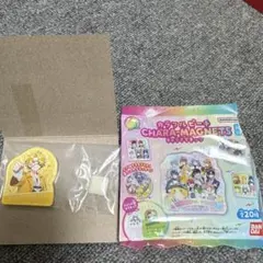 カラフルピーチ　キャラマグネッツ　たっつん