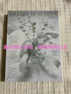 嵐 ARASHI 10-11 TOUR Scene 君と僕の見ている風景 DVD