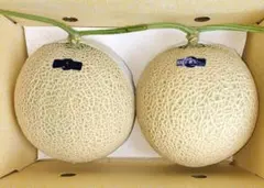 高知産　贈答用　温室マスクメロン　2玉　約４，７Kg　秀品　北海道沖縄発送不可のサムネイル