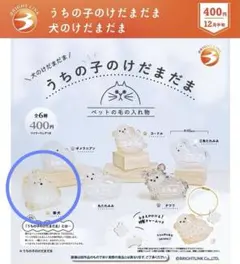 正規品　うちの子のけだまだま　犬のけだまだま　柴犬