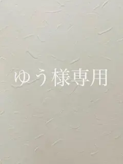 【ゆう様専用】