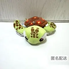 スクワート 肩乗せ