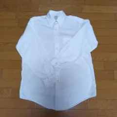 Item thumbnail for item 17955b45-99d3-4062-abf1-b2ad7011653a