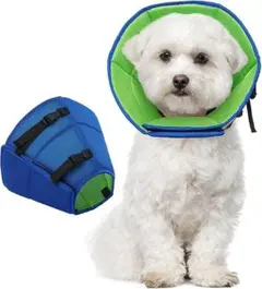 Item thumbnail for item 2e841c6f-fe51-4466-adfa-aff127e38ea4