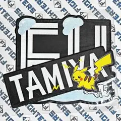 北海道日本ハムファイターズ ポケモン ベースボールシャツ用ワッペン