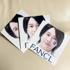 Mrs. GREEN APPLE FANCL ファンケル リーフレット 3枚