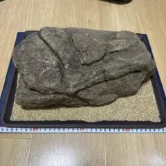 南極の石 大きめ 木製飾り台付き ⑥HY - メルカリ