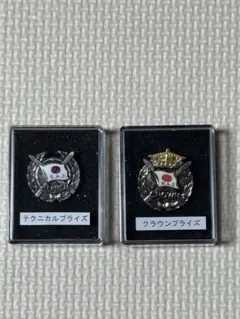 菊*浩様 スキー検定　クラウンプライズ　ピンバッジ 基礎スキー テクニカルプライズバッジ、クラウンプライズバッジ - メルカリ
