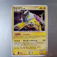 ライコウ ポケパークプレミアムファイル 005/009 - メルカリ