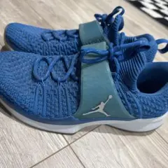 Jordan スニーカー 28cm ブルー