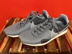 NIKE 縦NIKE筆記体タグ　デニムスニーカー/プレモントリオール着用少。