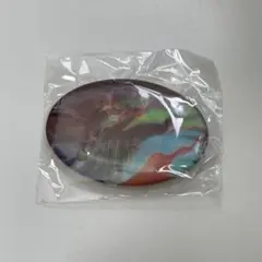 Vaundy DOME TOUR2026 SILENCE カプセルトイ バッジ - メルカリ