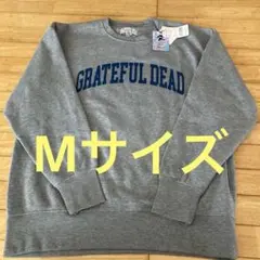 Item thumbnail for item 74625db5-c6ec-4db5-85ab-44c04924f069