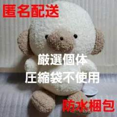 じょせまる BIGぬいぐるみ らて