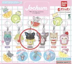 2026年最新】jochum ピーハイの人気アイテム - メルカリ