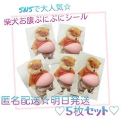 【明日発送】新品未使用　おなか ぷにぷに シール 柴犬 ステッカー 　５枚セット