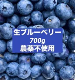 生ブルーベリー　農薬不使用　摘みたて　完熟　群馬県産　700gのサムネイル