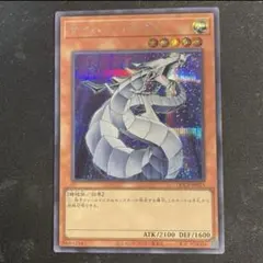 サイバードラゴン　シークレット　シク