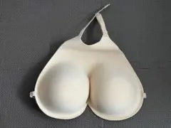 Item thumbnail for item 806d70bc-f657-4653-a353-a42ea3c758ab