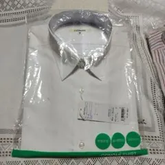 Item thumbnail for item 5e3499c4-35dc-407c-9a68-57056fdcc159