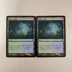 2025年最新】霧深い雨林の人気アイテム - メルカリ