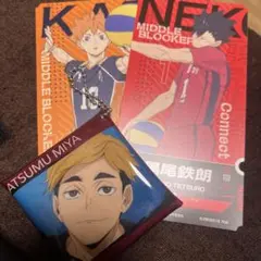 ハイキュー!! 日向翔陽、宮侑、黒尾鉄朗、菅原孝支