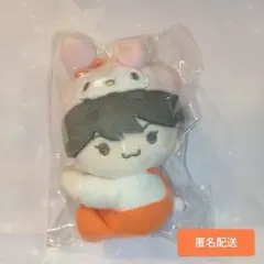 【大西流星】なにわ男子 サンリオコラボ ぬいぐるみ　匿名配送