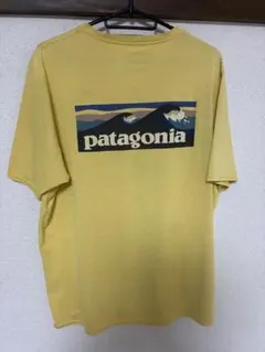 Patagonia パタゴニア キャプリーンクールデイリー　M