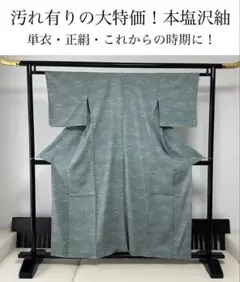 本塩沢　塩沢紬　単衣　着物　正絹　着物　汚れ有り大特価　これからの時期に！のサムネイル