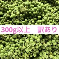 訳あり　山椒の実　300g 無農薬のサムネイル