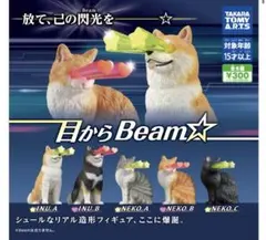 目からBeam
