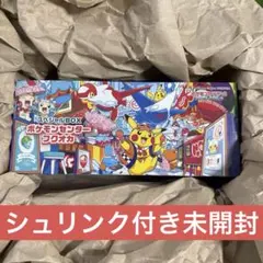 ポケモンカード テラスタルフェスex ポケセン産 未開封 ５箱 ポケモンセンター テラスタルフェスex BOX 未開封 5BOX ポケセン