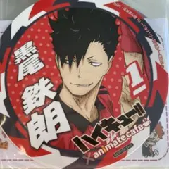 Item thumbnail for item 55af3f60-39af-41ba-abaa-b4e06d303f31