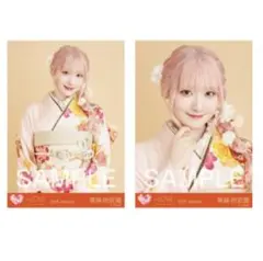 Item thumbnail for item 353b0f9f-74ee-495d-90cb-cd0644806929