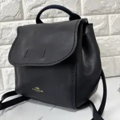 COACH✨ミニリュックシボ革　ゴールドチャーム　59819 ネイビー　フラップ