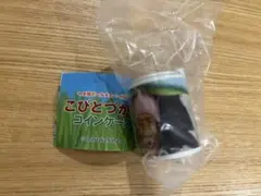 こびとづかん コインケース シボリオオチチ