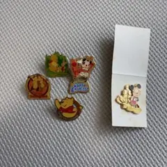 東京ディズニーランド ピンバッジ 5個セット