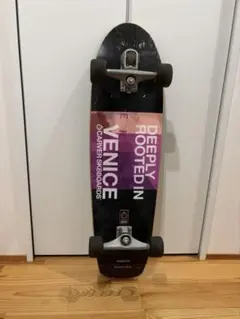Carver カーバー サーフスケートボード Mini Simms ミニシモンズ Carver カーバー サーフスケートボード Mini Simms ミニシモンズ