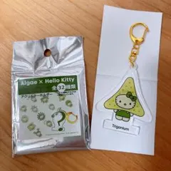 Item thumbnail for item 74fb5206-6a8c-444a-b6e6-07a9856acd3a