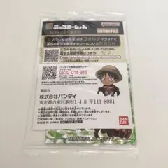 ワンピース　にふぉるめーしょん