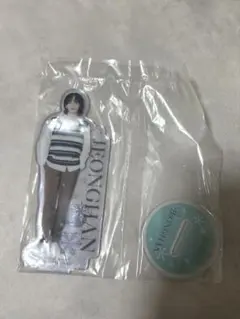 SEVENTEEN セブチ ジョンハン アクスタ