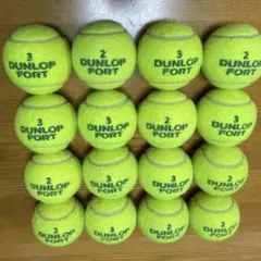 使用済みテニスボール DUNLOP FORT 16個