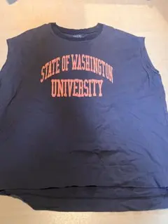 Item thumbnail for item c17c5064-e6ca-4785-8f81-8a220aacc38a