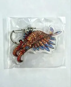 平面水族館 アノマロカリス アクリルキーホルダーNAMIKO 限定 個展 ガチャ