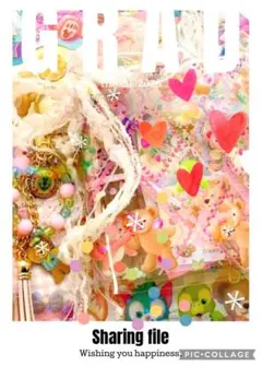 一冊限定　おすそ分けファイル♡ディズニー